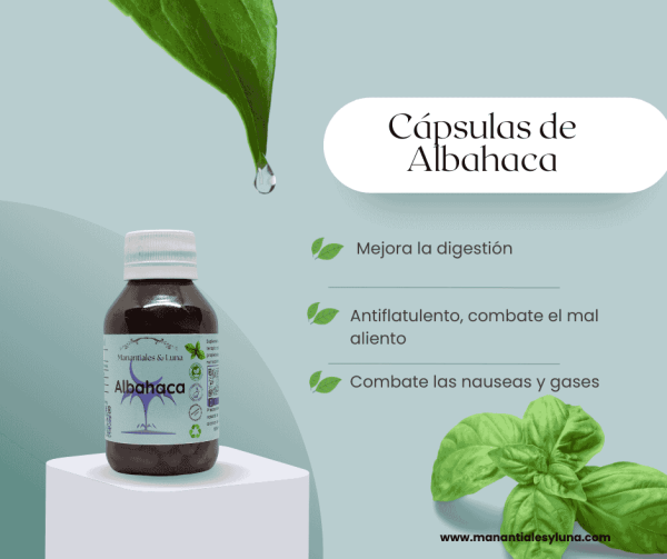 Albahaca cap