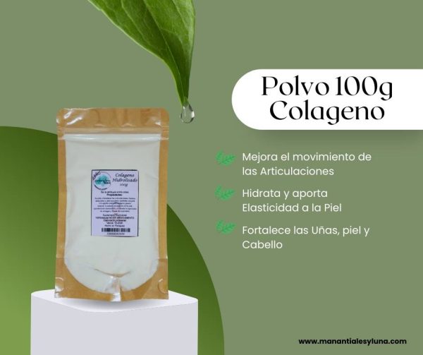 Colageno 100g po