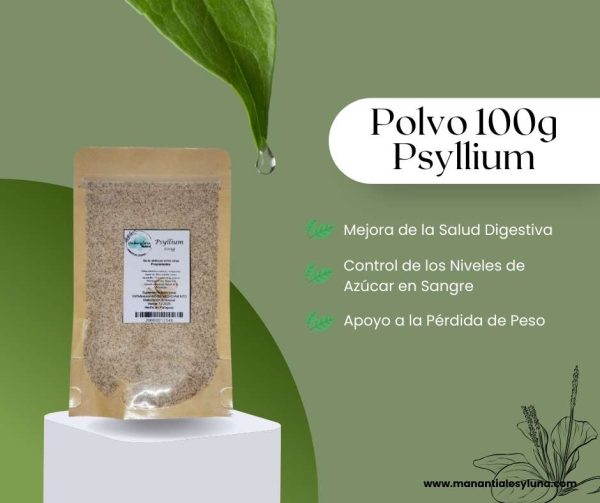 Psyllium 100g po