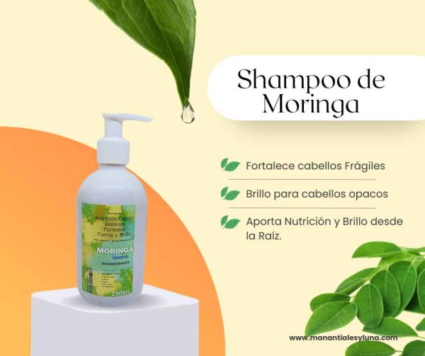 Moringa Sh