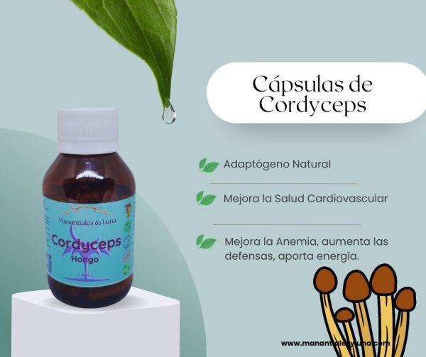 Cordyceps cap
