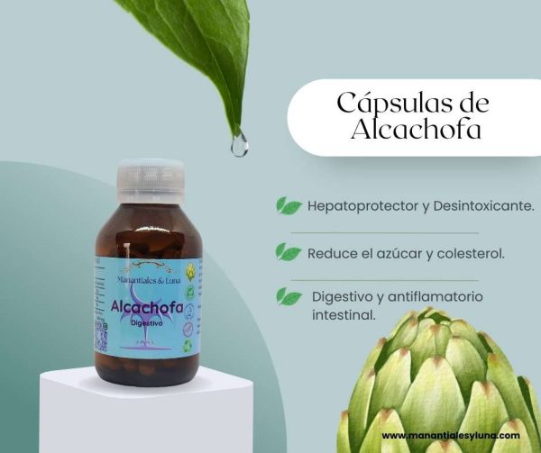 Alcachofa cap