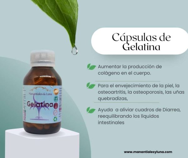 Gelatina Cap.