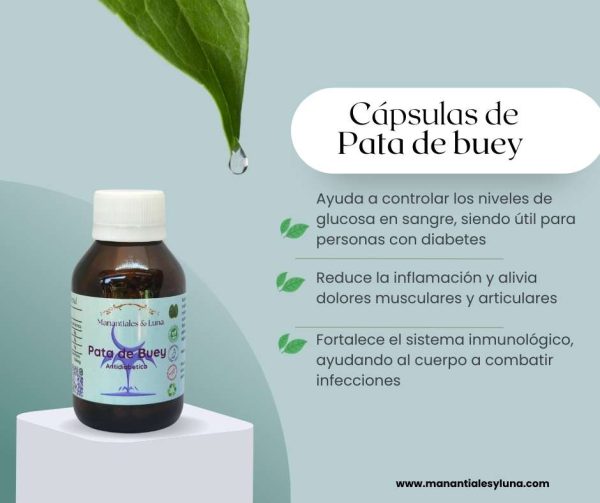 Pata de vaca cap