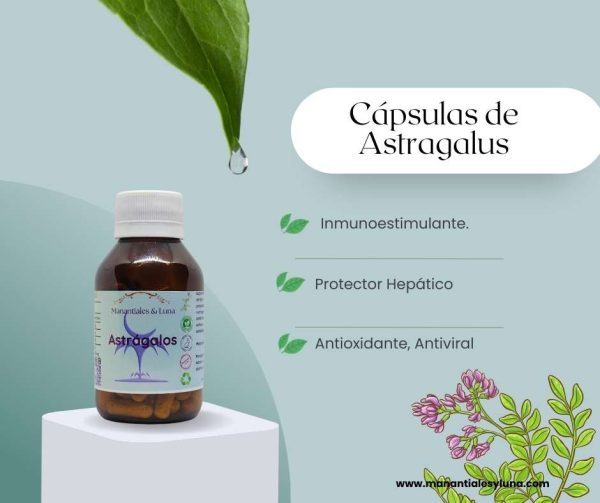 Agripalma cap
