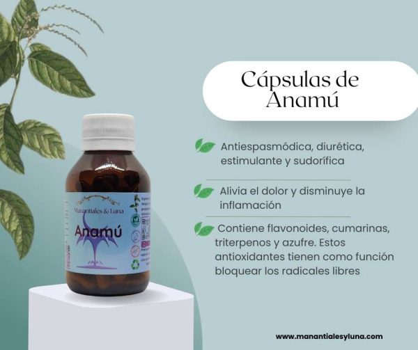 Anamu cap