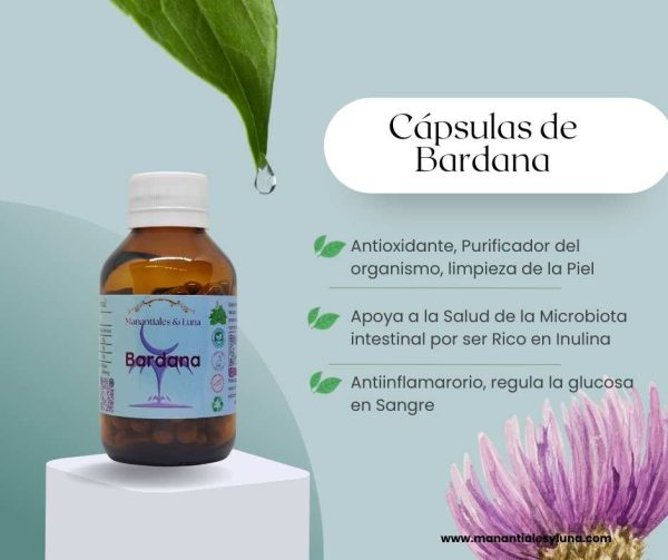 Bardana cap