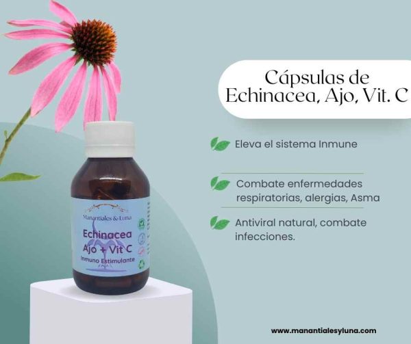 Echinacea+ cap