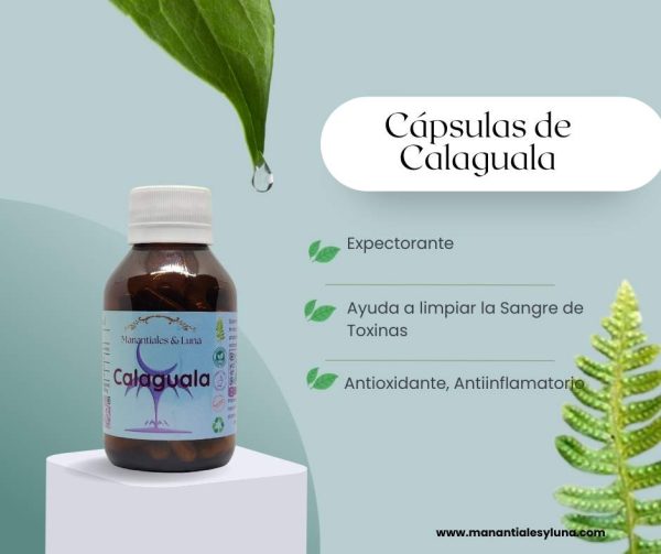 Calaguala cap