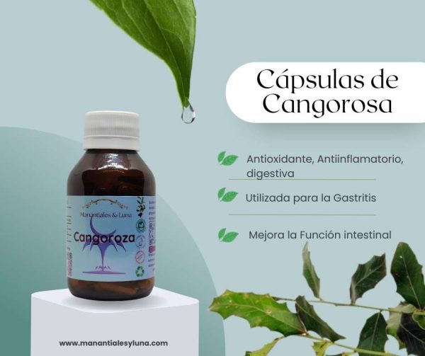 Cangorosa cap