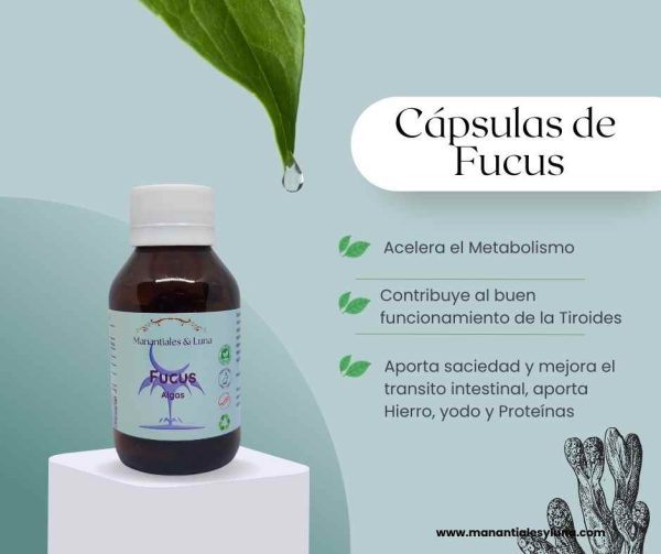 Fucus Cap.