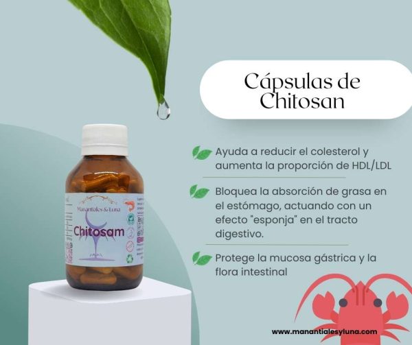 Chitosam cap