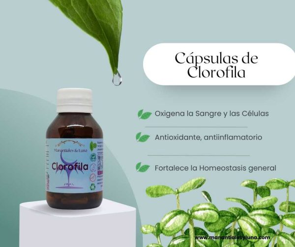 Clorofila cap