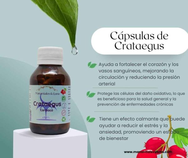 Crataegus cap