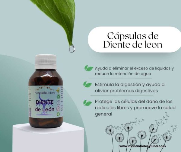 Diente de leon cap