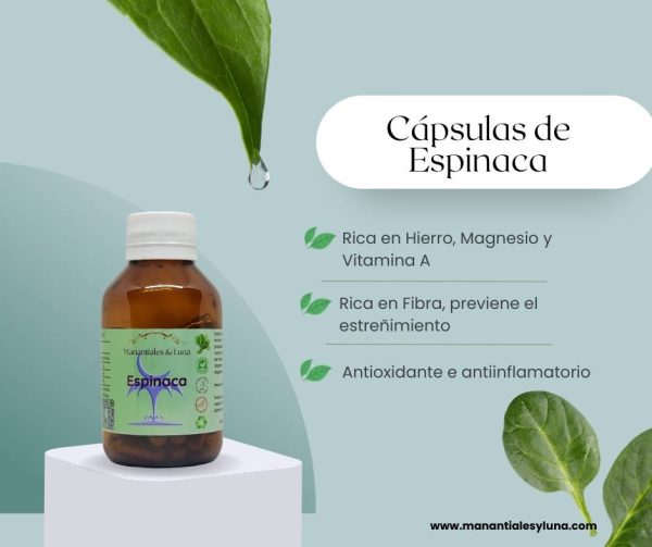 Espinaca Cap.