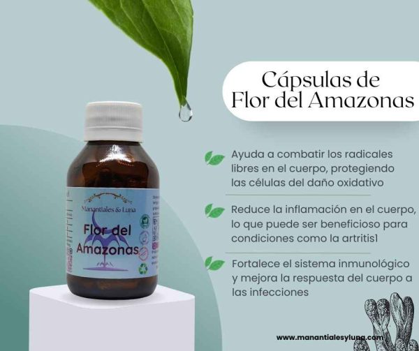 Flor del amazona cap