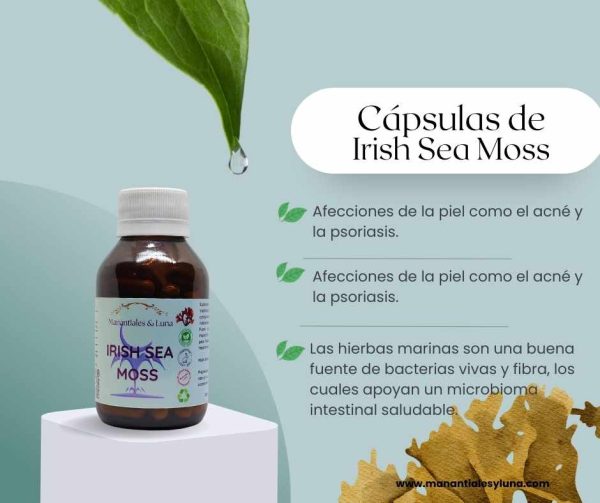 Iris see cap