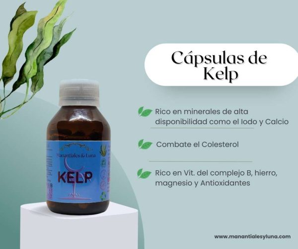 Kelp cap