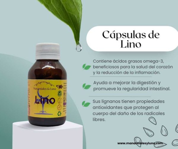 Lino Cap.