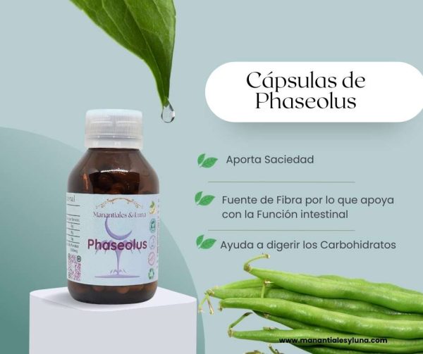 Phaseolus Cap.