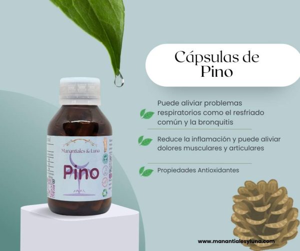 Pino Cap.