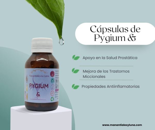 Pygium cap