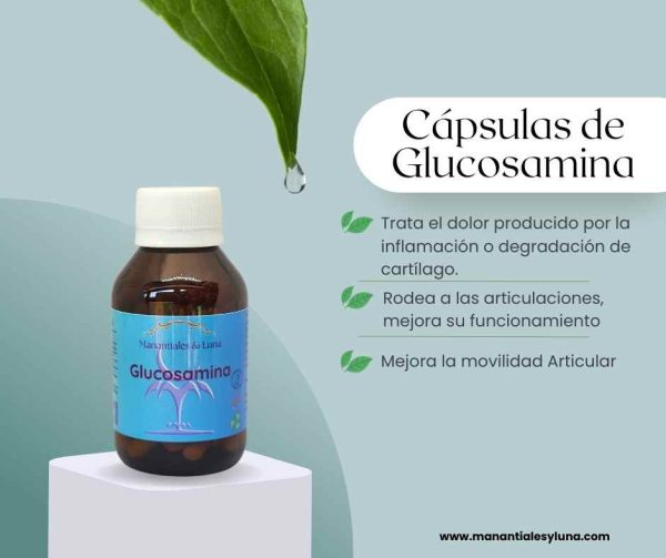 Glucosamina Cap.