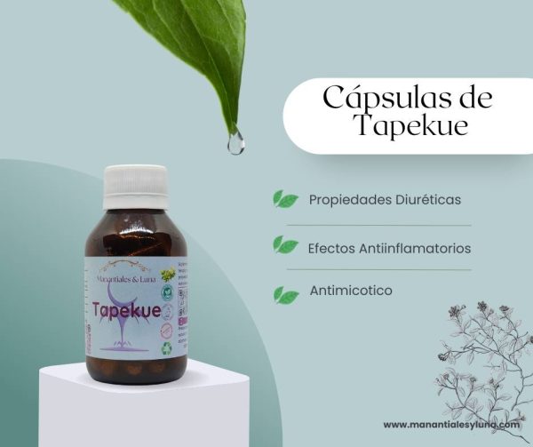Tapekue cap