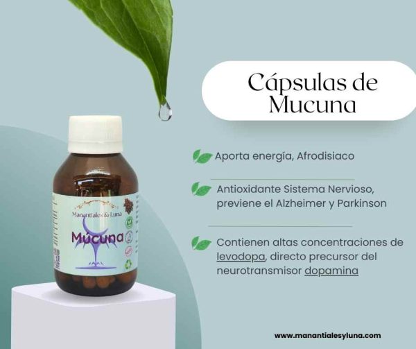 Mucuna Cap.