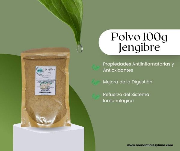 Jenjibre 100g po