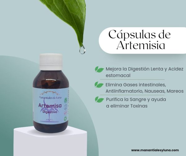 Artemisa cap
