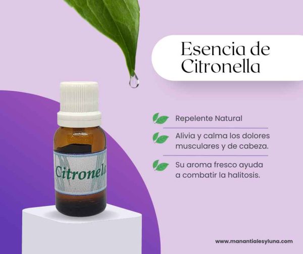 Citronella es