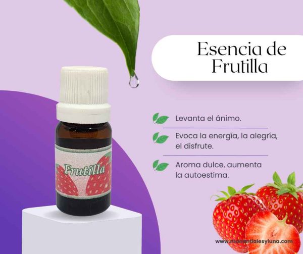 Frutilla es