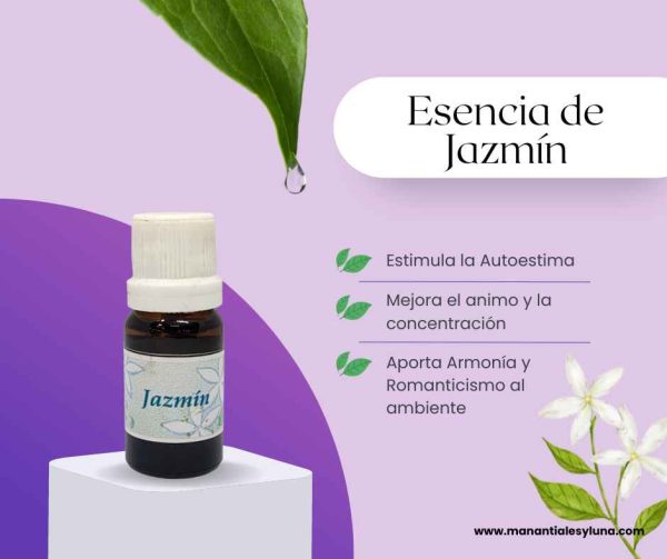 Jazmin es