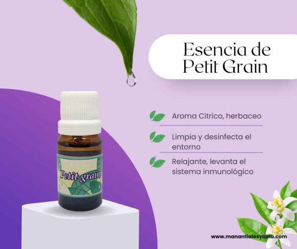 Petit Grain es