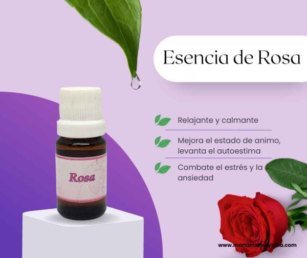 Rosas es