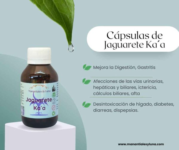 Jaguarete kaa cap