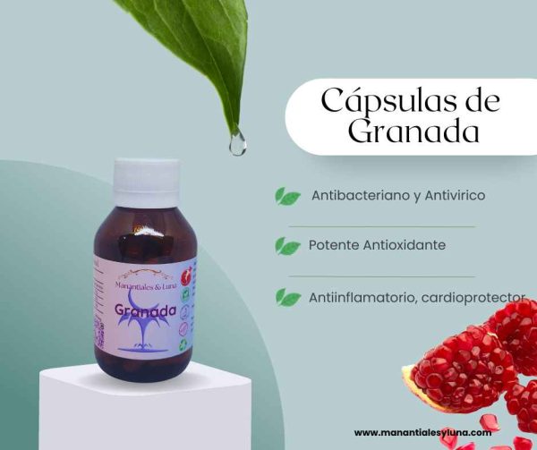 Granada Cap.