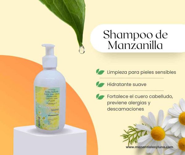 Manzanilla Sh.