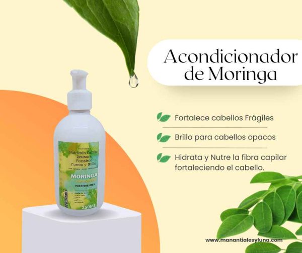 Moringa Enj.