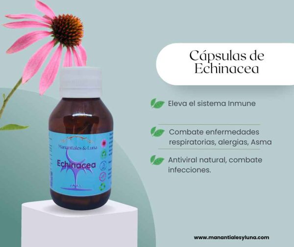 Echinacea cap
