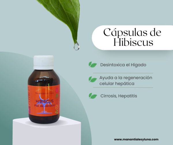Hibiscus cap