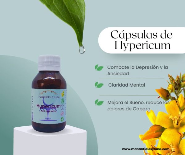 Hypericum Cap.
