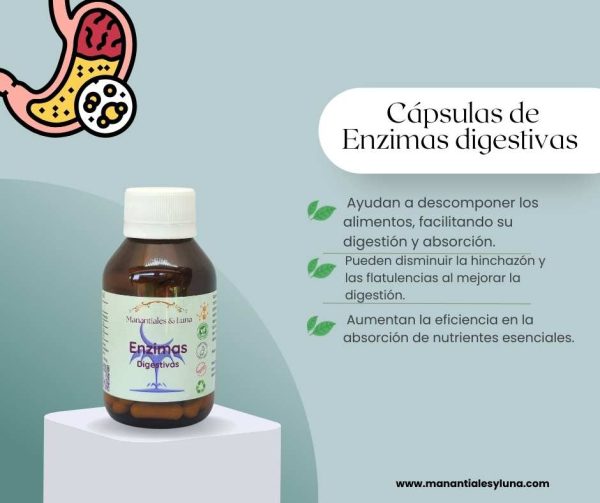 Enzimas digestivas cap