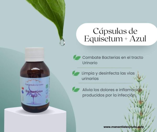 Equisetum+ cap