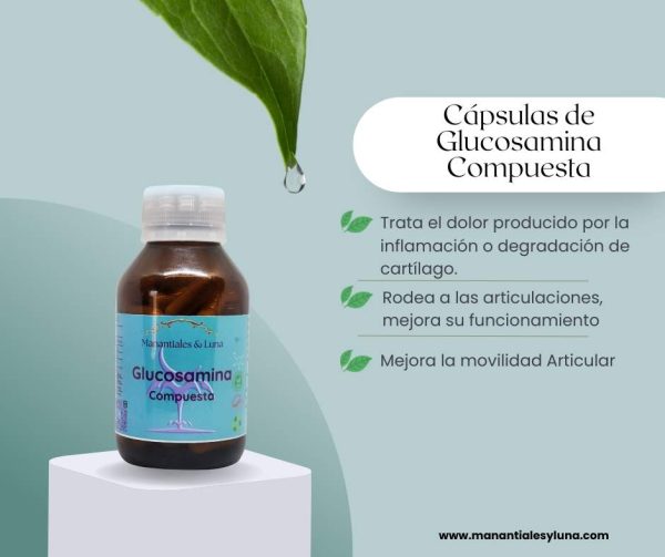 Glucosamina+ Cap.