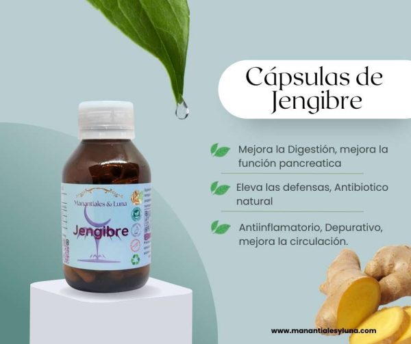Jenjibre Cap.