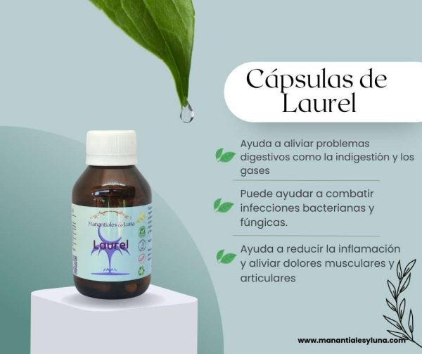 Laurel cap