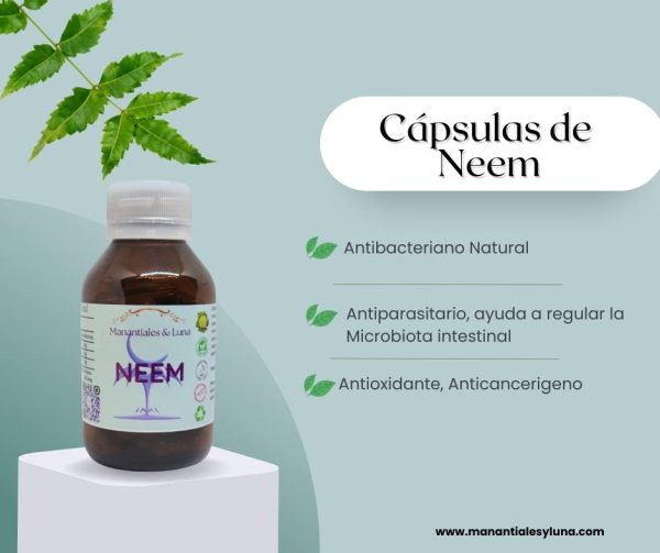 Neem Cap.